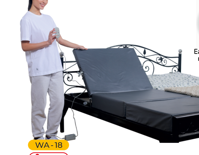 Motorized Recliner Bed